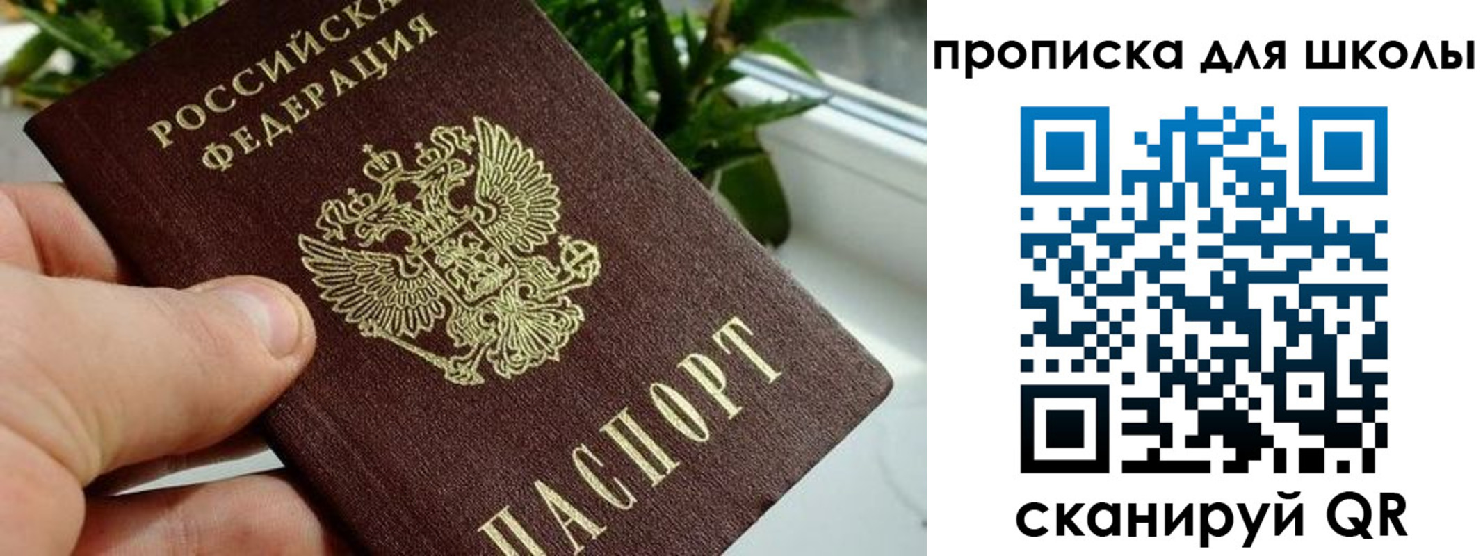 регистрация для дет. сада в Барыше